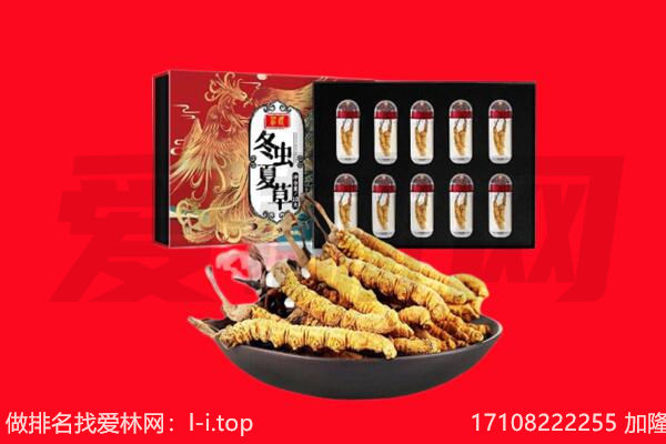 北京昌平区回收虫草.jpg